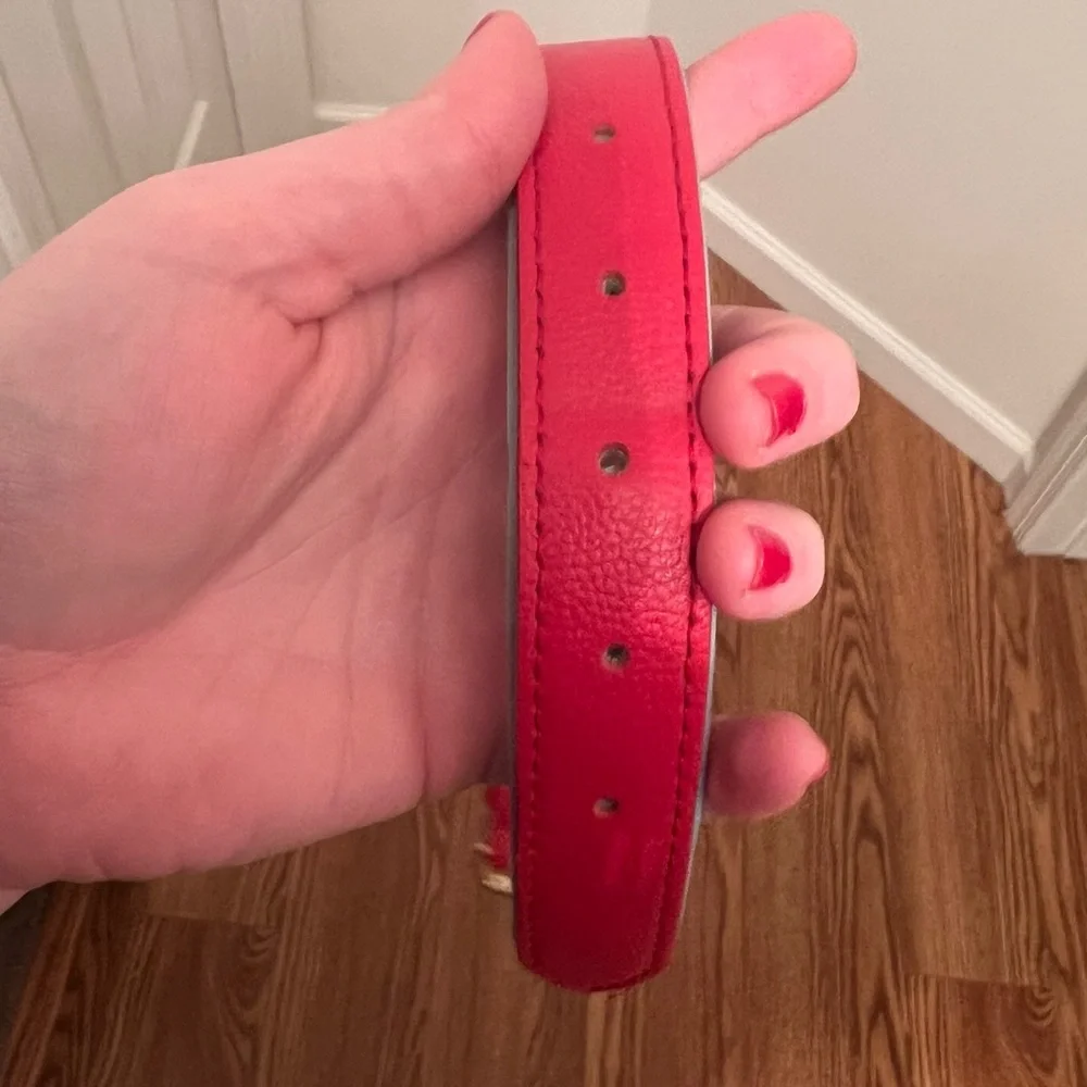 Bright Red Padded Dog Collar